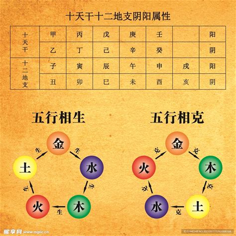 五行相生图|五行相生相克图